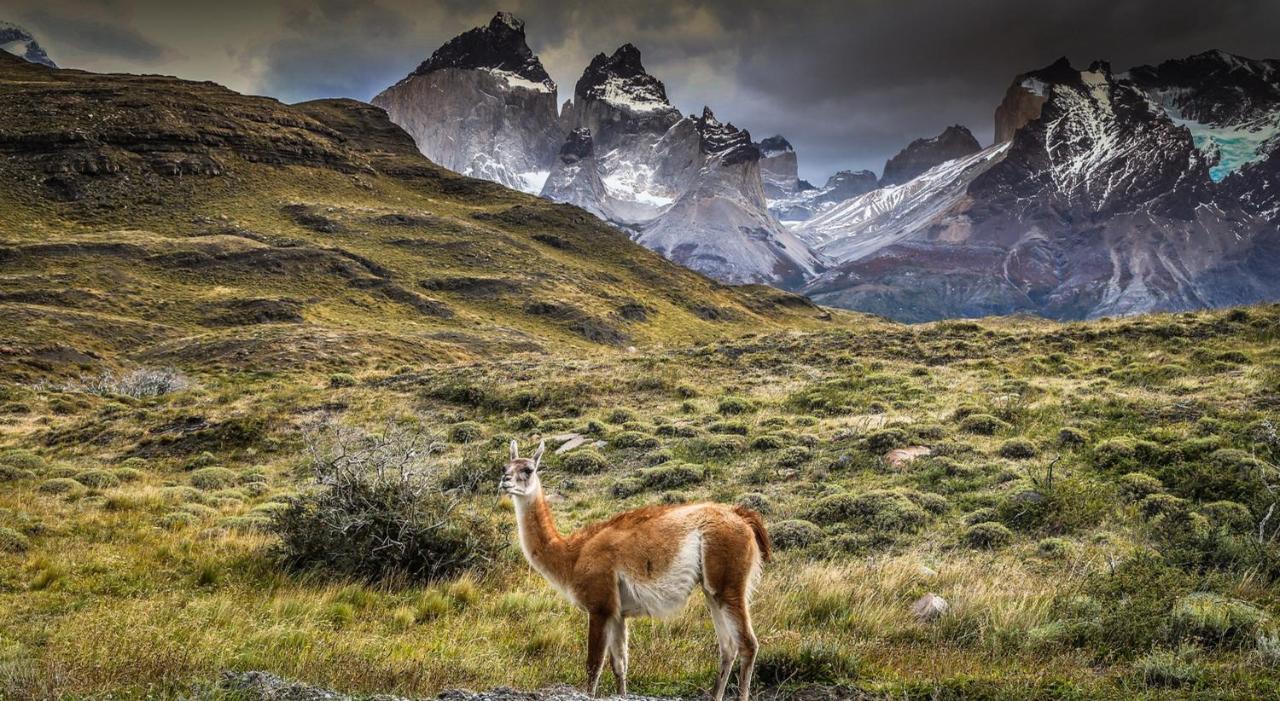 Rio Serrano Hotel + Spa Torres del Paine National Park Buitenkant foto